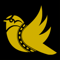 GrayJays Driving School logo